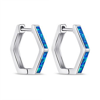 Фото Срібні сережки з опалом (арт. 7502/9451/20Пос)