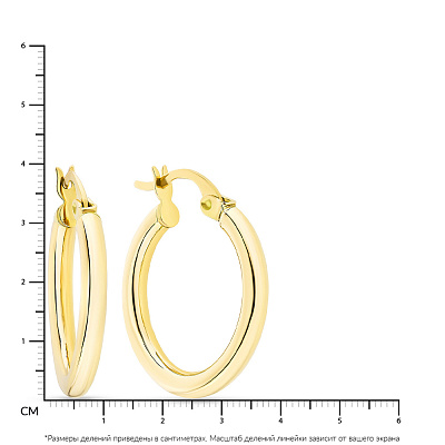 Сережки-кільця з жовтого золота  (арт. 100945/40ж)