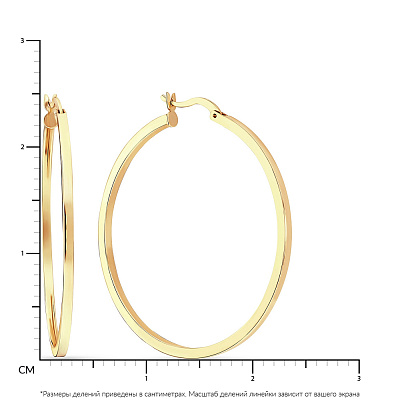 Сережки кільця з жовтого золота (арт. 101103/25ж)