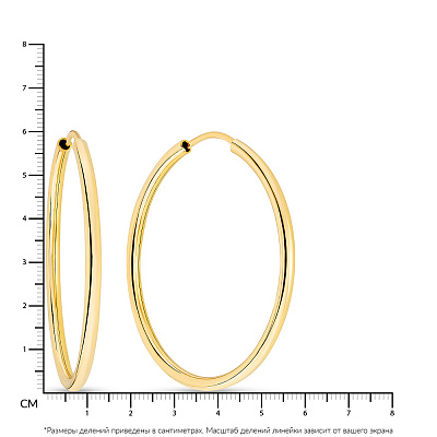 Золотые серьги-кольца (арт. 100023/60ж)