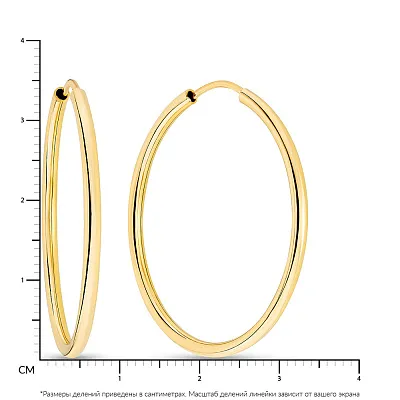 Золоті сережки-кільця (арт. 100023/35ж)