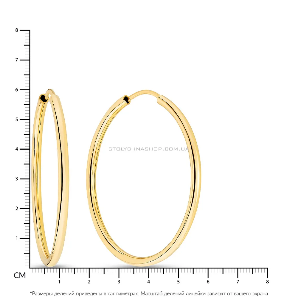 Золоті сережки-кільця (арт. 100023/60ж)