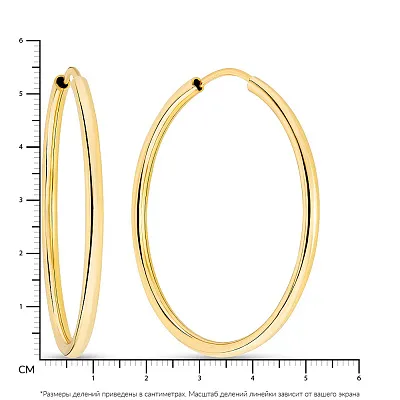 Золоті сережки-кільця (арт. 100023/55ж)