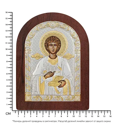 Икона Пантелеймон Целитель (160х120 мм) (арт. AR-3/012AG/R)